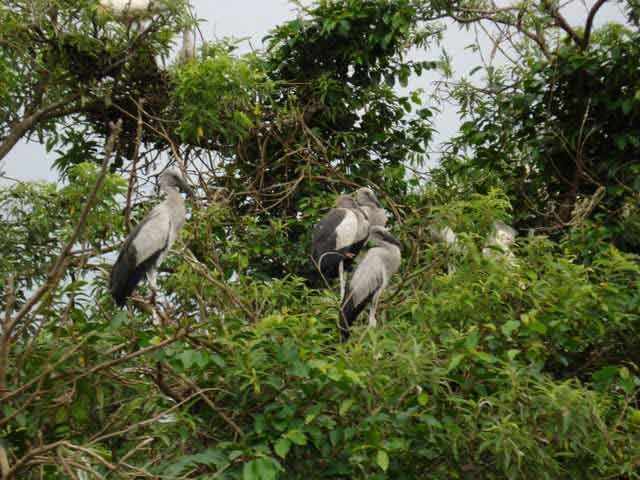 Talakaveri wildlife sanctuary