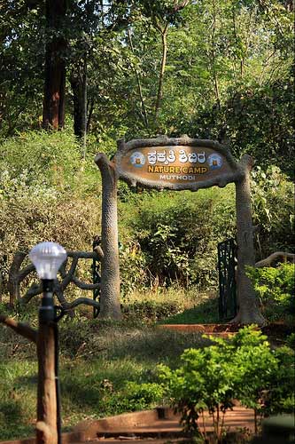 muthodi safari zone muthodi karnataka